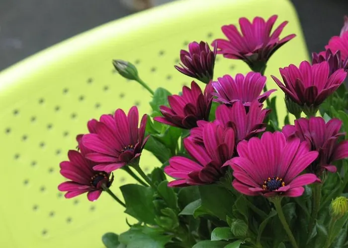 Thon Spectrum Hotell 3*